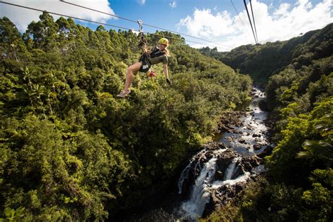 Big Island: Hilo Dual-Track Zipline Adventure in Hawaii | My Guide Hawaii