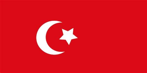 Premium Vector | Turkey flag with moon and star realistic symbol vector ...