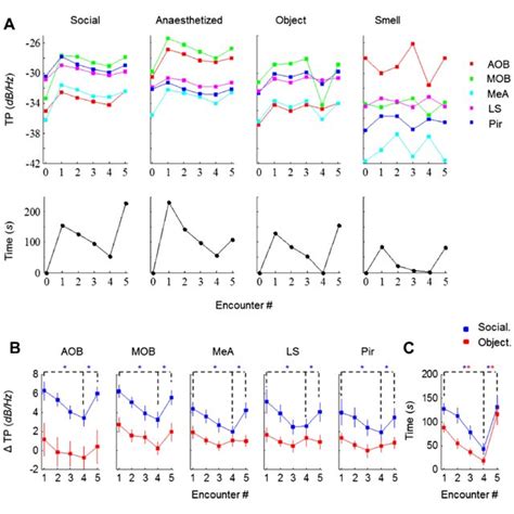 Distinct types of theta rhythmicity are induced by social and fearful... | Download Scientific ...