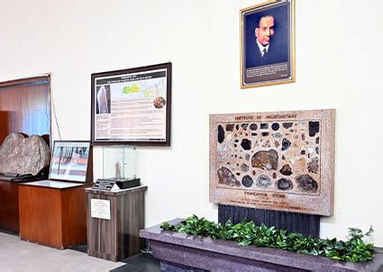 Museum | Birbal Sahni Institute of Palaeosciences