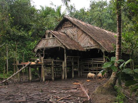 Uma longhouse - Wikipedia