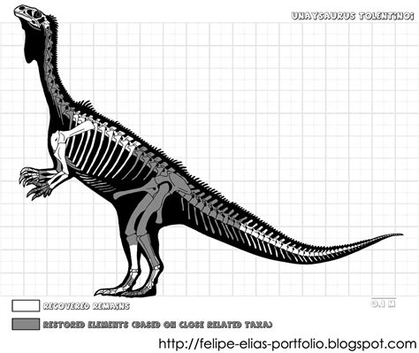 FELIPE ALVES ELIAS - Portfolio: Unaysaurus tolentinoi (2011)