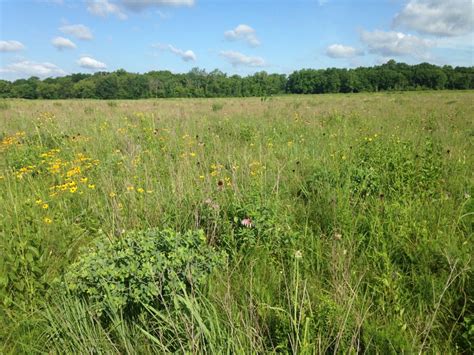 Belvidere Assembly Plant Gives “Seed Money” to Local Conservation Area ...