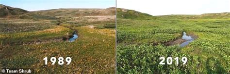 Climate change is causing more plants to grow in savanna and tundra ...