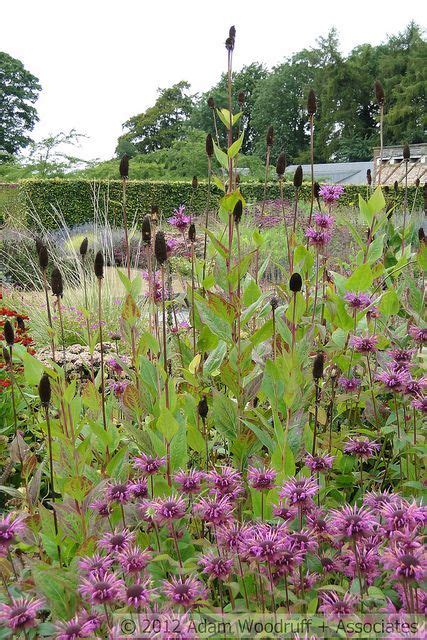 Scampston Hall - 129_PM | Modern garden, Garden inspiration, Garden design