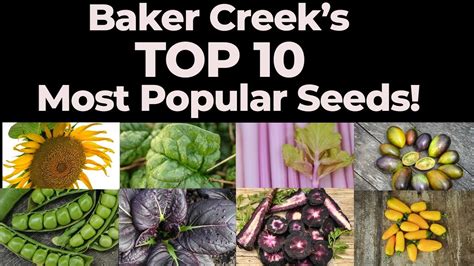 Baker Creek's Top 10 Best-Selling Varieties - YouTube