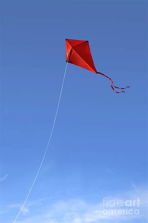 Red Kite In The Sky Photograph by Diane Diederich