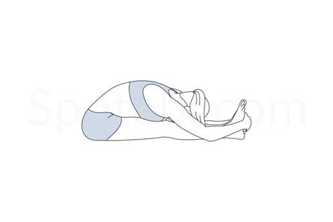 Seated Forward Bend Pose | Paschimottanasana