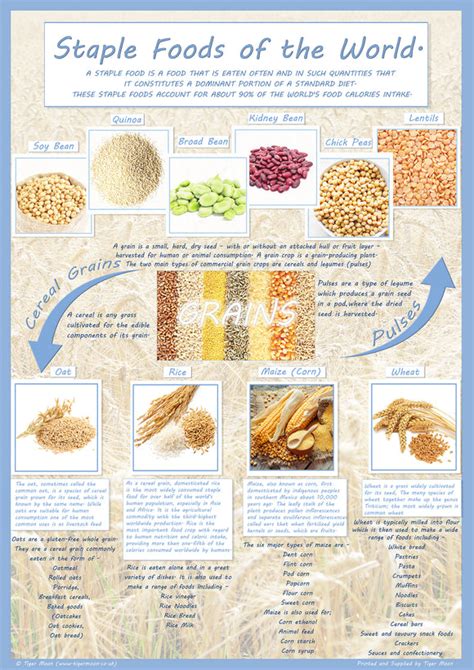 Staple foods of the world Poster – Tiger Moon