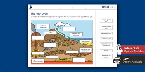 The Rock Cycle Worksheet | KS3 Chemistry | Beyond - Twinkl