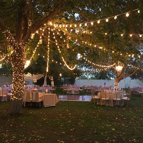 está muy lindo | Wedding backyard reception, Wedding lights, Garden ...