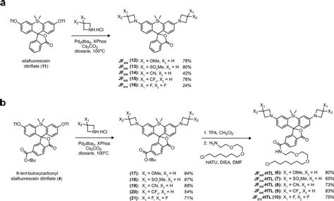 Synthesis of Si-rhodamine derivatives Synthesis routes and yields of... | Download Scientific ...