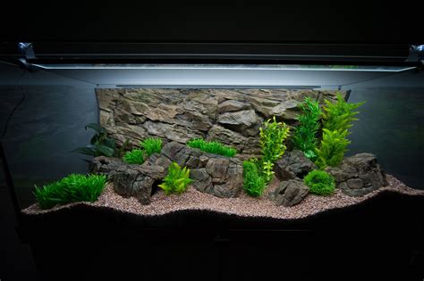 Rock 3D Aquarium Terrarium Background for 55/75 GALLON Tank - Etsy