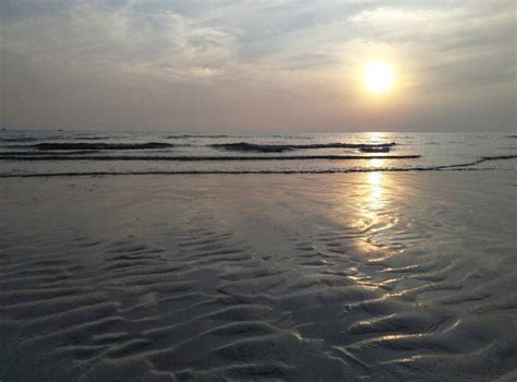 Mandvi Beach Kutch Gujarat, Things to do, Information & Photos