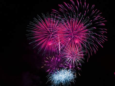 fireworks celebration bright pink explosive 4k HD Wallpaper