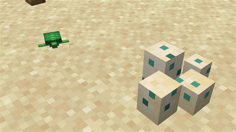 Turtle eggs in Minecraft: All you need to know