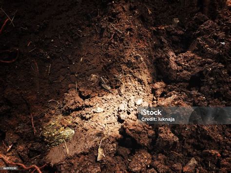 Soil Background Stock Photo - Download Image Now - Abstract, Agriculture, Antique - iStock