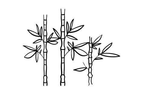 Bamboo Plant Drawing