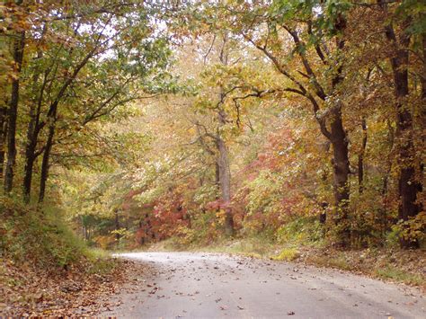 Ozark Mountain Family Homestead: Autumn in the Ozark Mountains