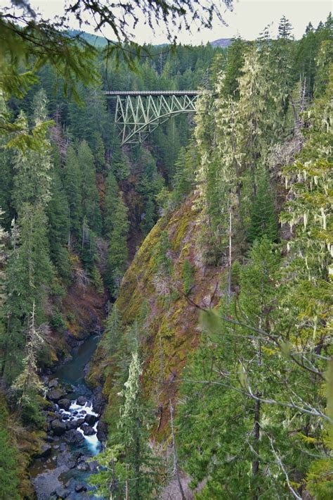 Olympic National Forest - National Forest Foundation