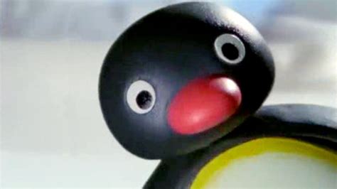 🔥 [75+] Pingu Wallpapers | WallpaperSafari