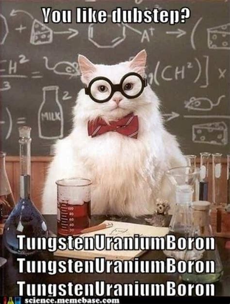 Science Cat Meme Funny Image Photo Joke 01 | QuotesBae