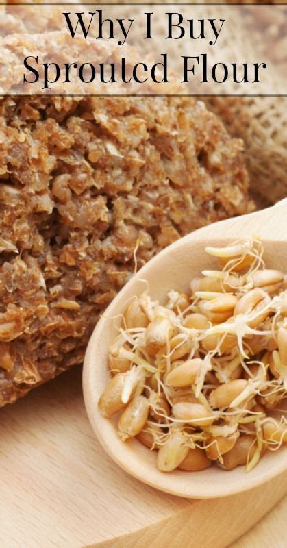 Is Sprouted Wheat Flour Healthy? What Are the Benefits of Sprouted Wheat? | Real food recipes ...