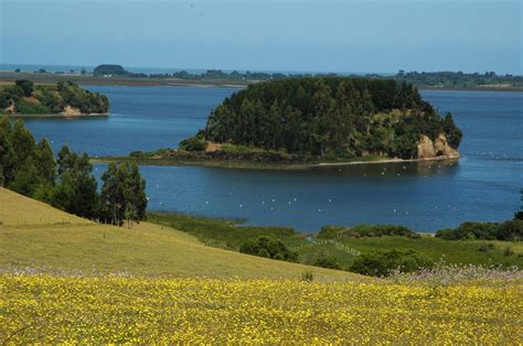 Lago Budi (Lake Budi)