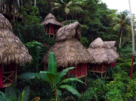 20 Treehouse Hotel Paling Keren Sedunia Bikin Enggan Pulang