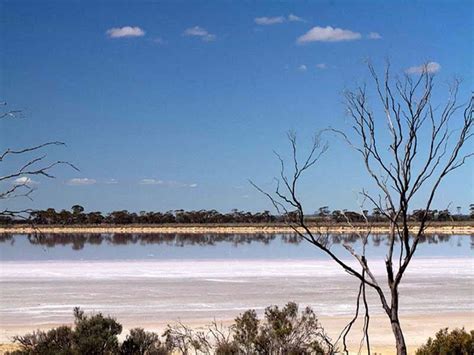 Lake Grace | Lake Grace area | Western Australia