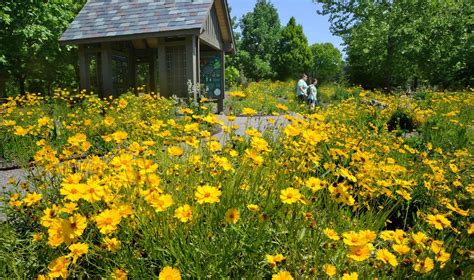 Rich Learning Experience: Arboretum’s Native Pollinator Garden | Features | thepilot.com