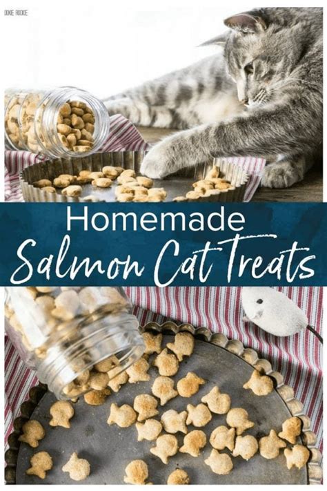 Homemade Cat Treats Recipe - The Cookie Rookie®