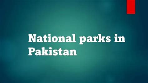 Discover the Beauty : Top 10 National Parks in Pakistan