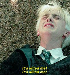 Buckbeak and the Dramatic Boy | Under The Stars | Draco Malfoy | Draco, Draco malfoy, Malfoy