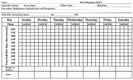 Pulmonary Services | Peak Flow Chart