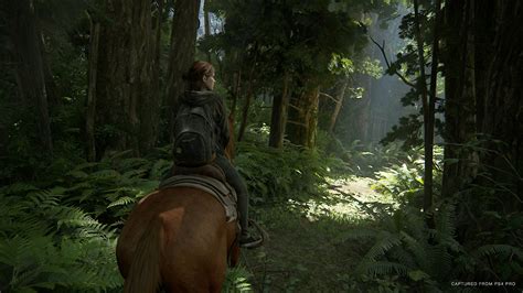 Last of Us Part 2 gets new screenshots following latest delay | VGC