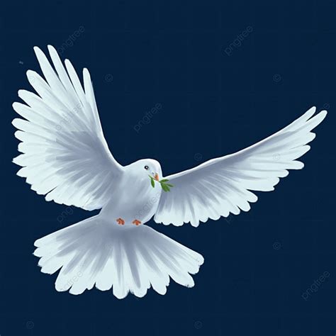 Merpati Terbang, Merpati, Merpati Putih, Merpati PNG Transparan dan Clipart untuk Unduhan Gratis