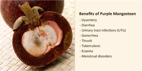 12 Benefits of Purple Mangosteen: Side Effects, Nutrition