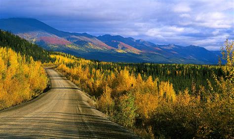 En route pour l'océan Arctique sur la Dempster Highway. | Expérience Canadienne