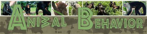 Animal Behavior | UO First-Year Programs