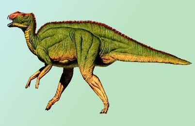 Hadrosaurus Dinosaur, information | facts - Dinosaur theories