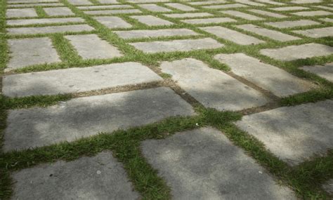 Building a Driveway with Grass Strips: Tips, Guide and Alternatives