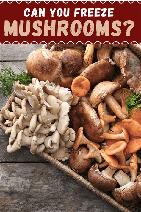 Can You Freeze Mushrooms? - Insanely Good