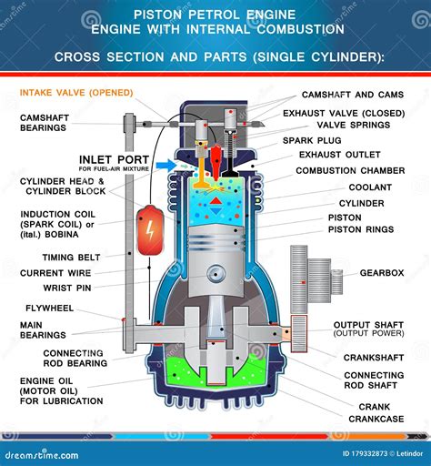 Piston Petrol Engine, Structural Cross Section in Basic Design for ...