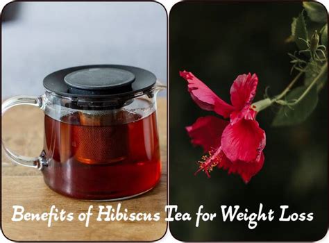 Benefits of Hibiscus Tea for Weight Loss