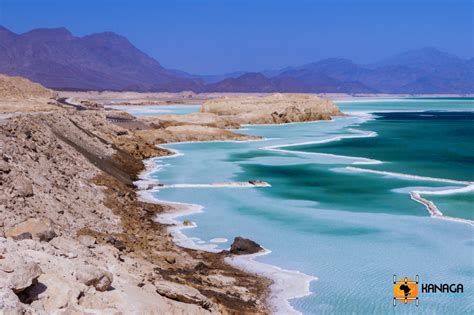 Lake Assal and the salt caravans - Kanaga Africa Tours