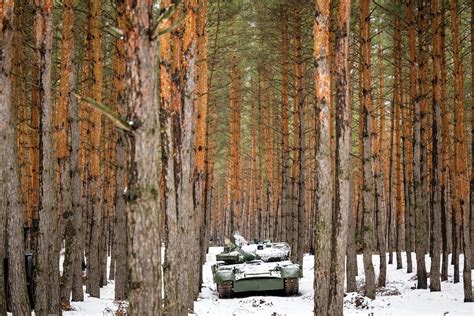 Scientists plan a comeback for Ukraine’s war-ravaged forests | Science ...