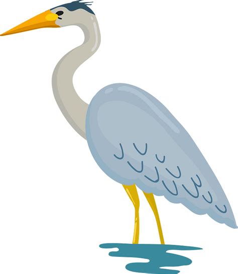 Great blue heron - Free vector clipart images on creazilla.com