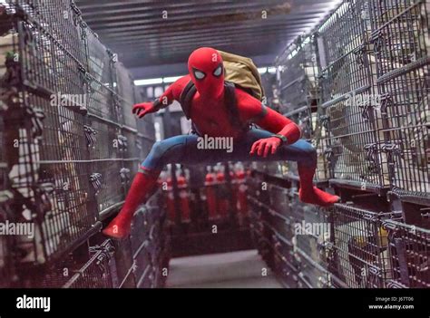 Top 59+ imagen tom holland spiderman - Abzlocal.mx