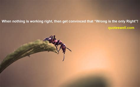 Famous quotes about 'Right And Wrong' - Sualci Quotes 2019